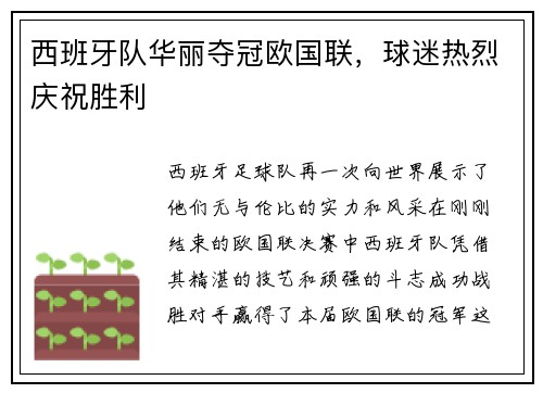 西班牙队华丽夺冠欧国联，球迷热烈庆祝胜利