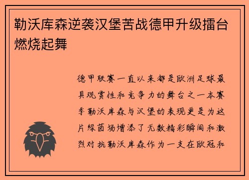 勒沃库森逆袭汉堡苦战德甲升级擂台燃烧起舞